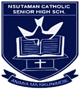 Nsutaman Catholic Senior High